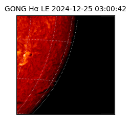 gong - 2024-12-25T03:00:42