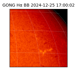 gong - 2024-12-25T17:00:02