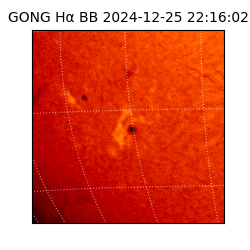 gong - 2024-12-25T22:16:02