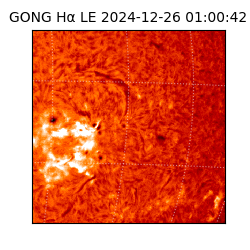 gong - 2024-12-26T01:00:42