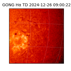 gong - 2024-12-26T09:00:22