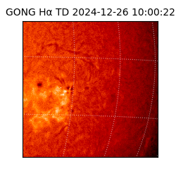 gong - 2024-12-26T10:00:22