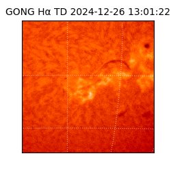 gong - 2024-12-26T13:01:22