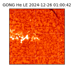 gong - 2024-12-26T01:00:42