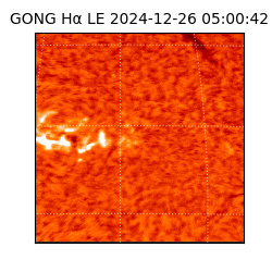 gong - 2024-12-26T05:00:42