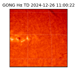 gong - 2024-12-26T11:00:22