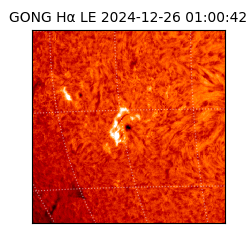gong - 2024-12-26T01:00:42