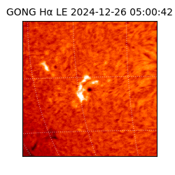 gong - 2024-12-26T05:00:42