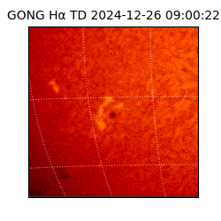 gong - 2024-12-26T09:00:22