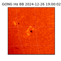 gong - 2024-12-26T19:00:02