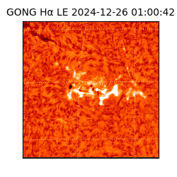 gong - 2024-12-26T01:00:42