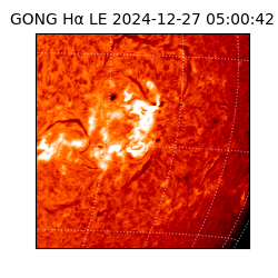 gong - 2024-12-27T05:00:42