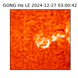 gong - 2024-12-27T03:00:42