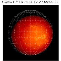 gong - 2024-12-27T09:00:22