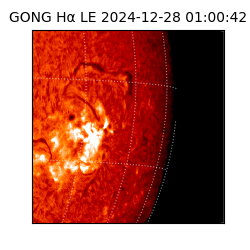 gong - 2024-12-28T01:00:42