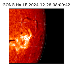 gong - 2024-12-28T08:00:42