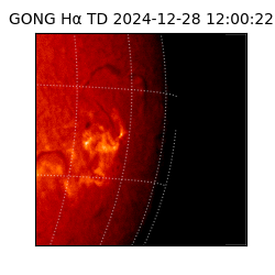gong - 2024-12-28T12:00:22