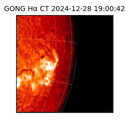 gong - 2024-12-28T19:00:42