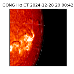 gong - 2024-12-28T20:00:42