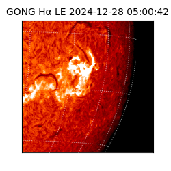 gong - 2024-12-28T05:00:42