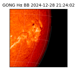 gong - 2024-12-28T21:24:02