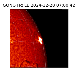 gong - 2024-12-28T07:00:42