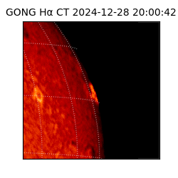 gong - 2024-12-28T20:00:42