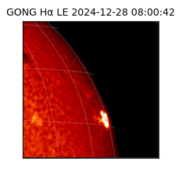 gong - 2024-12-28T08:00:42