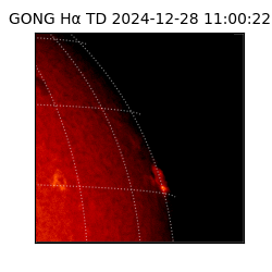 gong - 2024-12-28T11:00:22