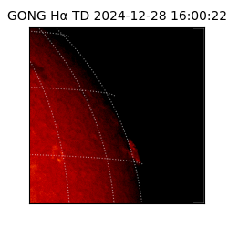 gong - 2024-12-28T16:00:22