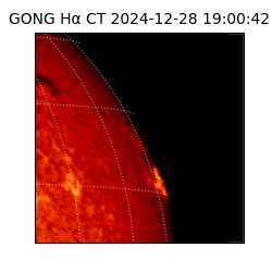 gong - 2024-12-28T19:00:42