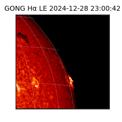gong - 2024-12-28T23:00:42