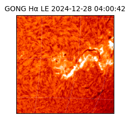 gong - 2024-12-28T04:00:42