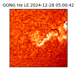 gong - 2024-12-28T05:00:42