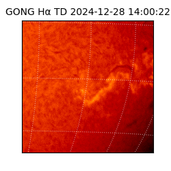 gong - 2024-12-28T14:00:22