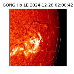 gong - 2024-12-28T02:00:42