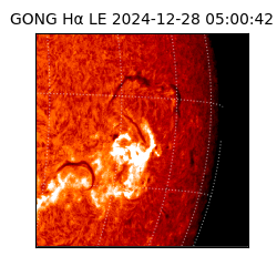 gong - 2024-12-28T05:00:42