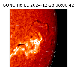 gong - 2024-12-28T08:00:42