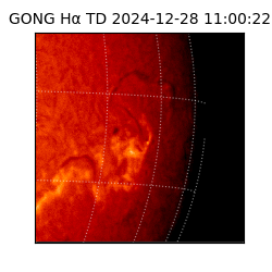 gong - 2024-12-28T11:00:22