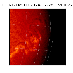 gong - 2024-12-28T15:00:22
