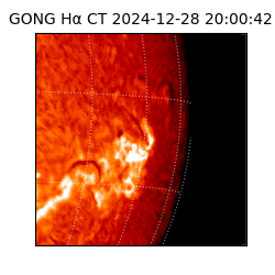 gong - 2024-12-28T20:00:42