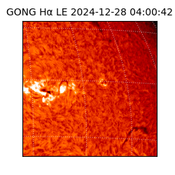 gong - 2024-12-28T04:00:42