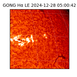 gong - 2024-12-28T05:00:42