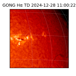 gong - 2024-12-28T11:00:22