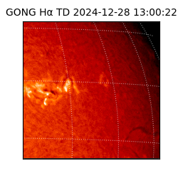 gong - 2024-12-28T13:00:22