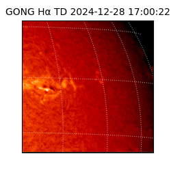 gong - 2024-12-28T17:00:22