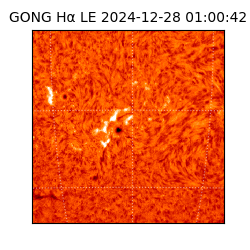 gong - 2024-12-28T01:00:42