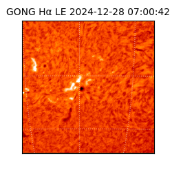 gong - 2024-12-28T07:00:42