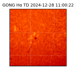 gong - 2024-12-28T11:00:22