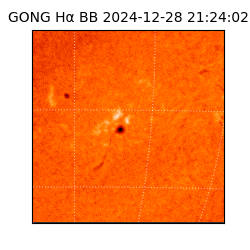 gong - 2024-12-28T21:24:02